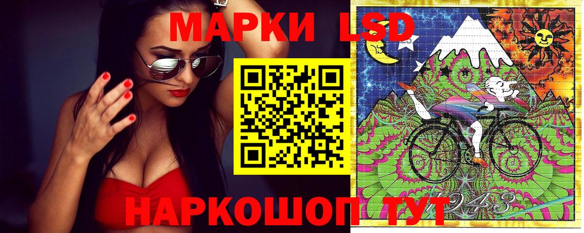 Бошки Шишки Кстово
